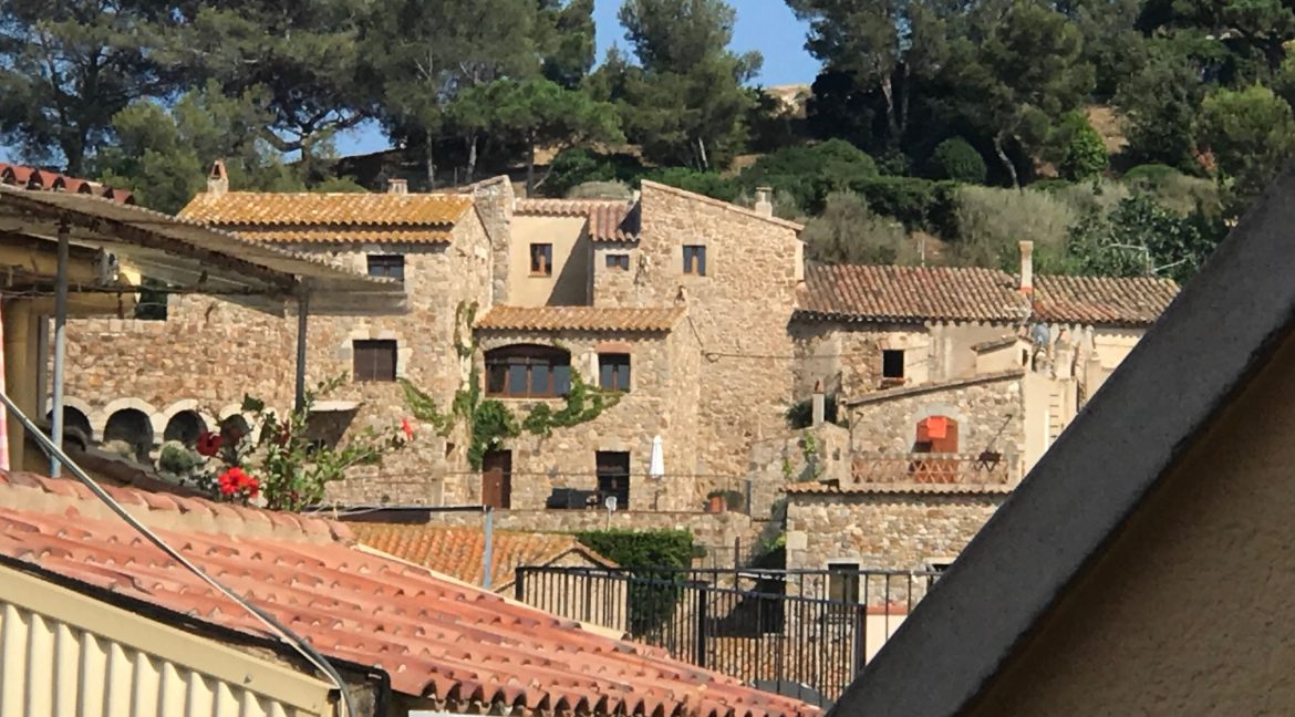 11 IMG_9233